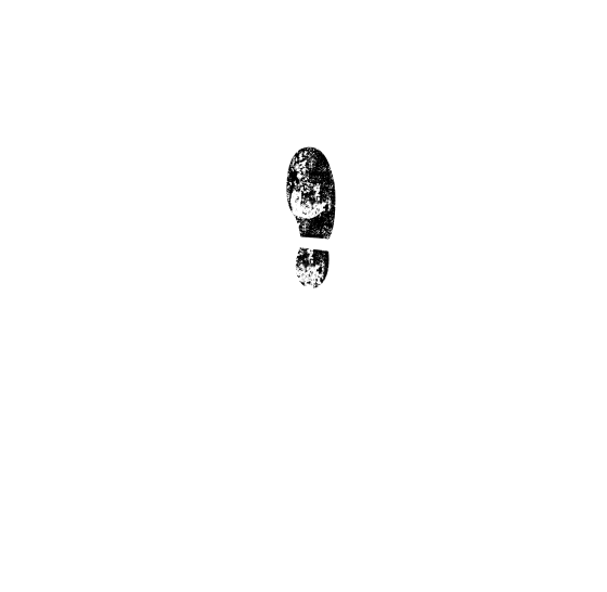 Bigico.tv