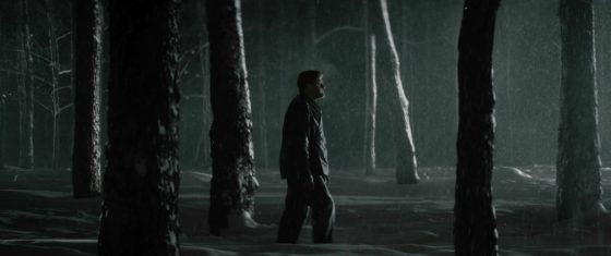 LA TIMIDITÉ DES CIMES